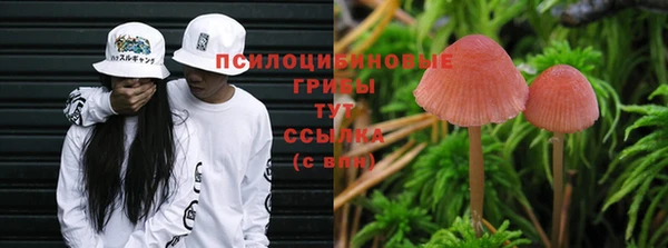 мдпв Протвино