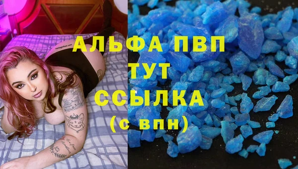 стаф Алзамай