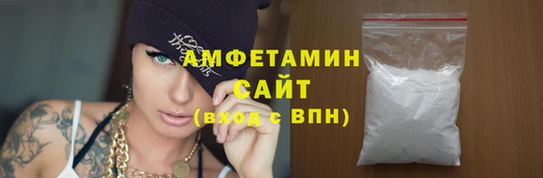 стаф Алзамай