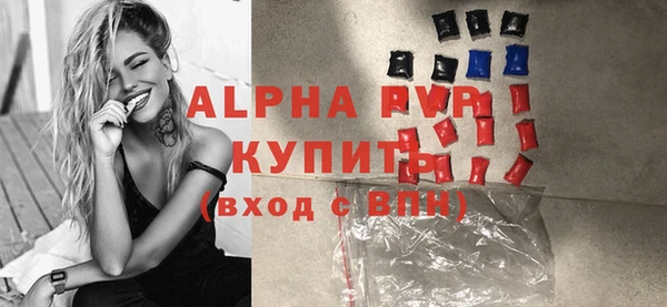стаф Алзамай