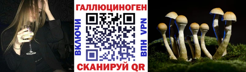 Псилоцибиновые грибы мицелий  Кириши 